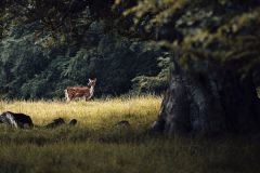 201805257eb6fff3-fd91-adaa-14c7-d170ba080480